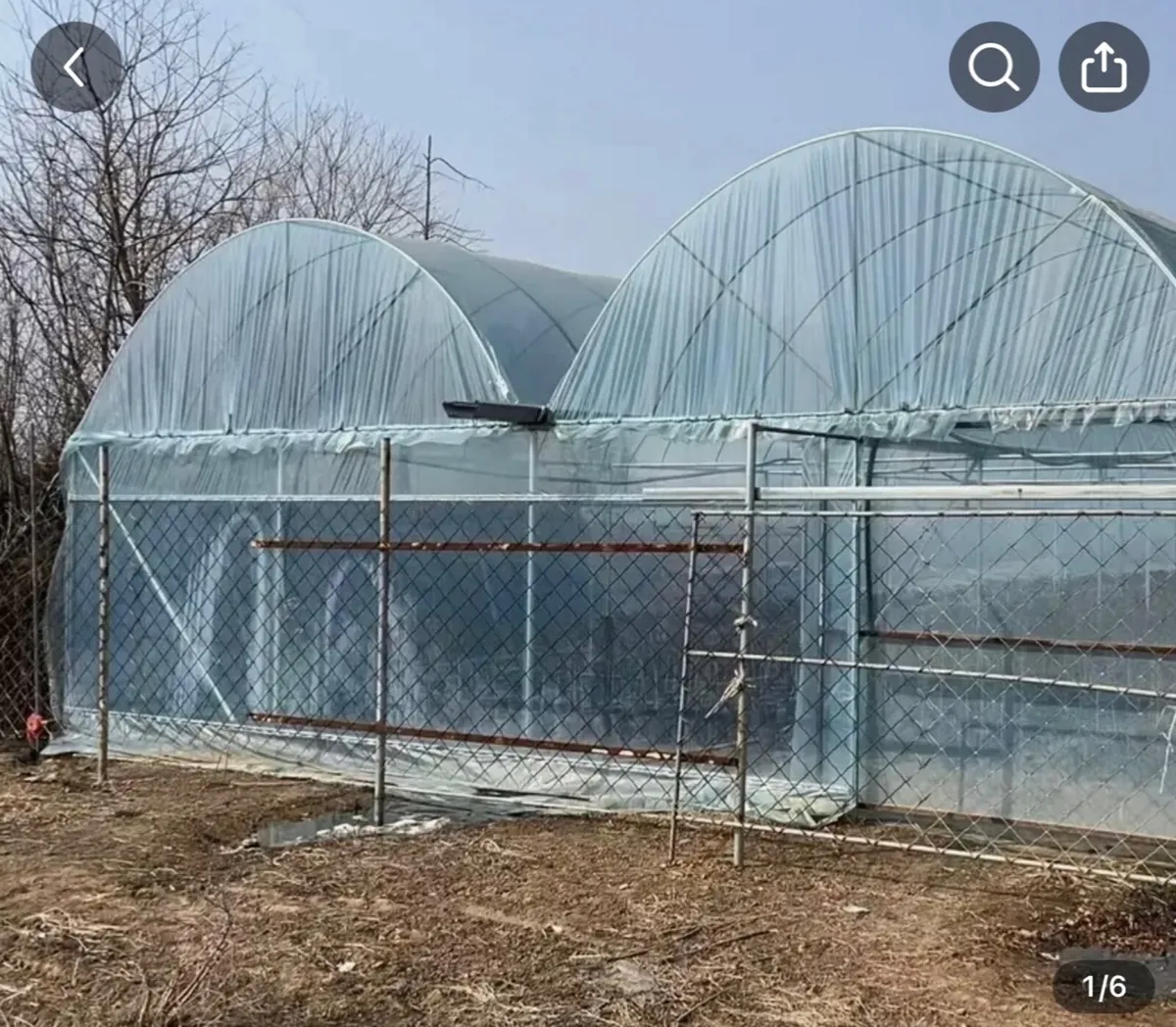 Large Mushroom Tunnel