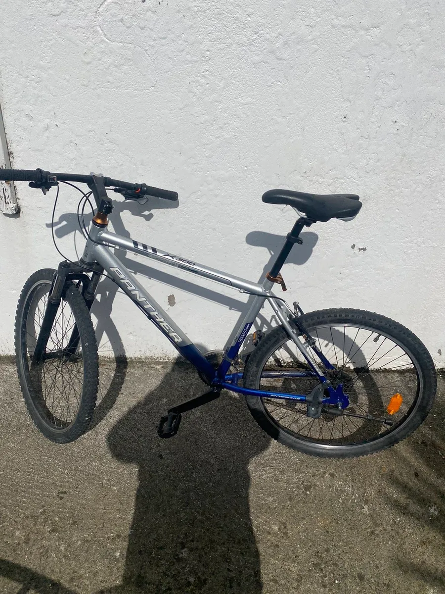 Panther X300 Line Bike - Image 1