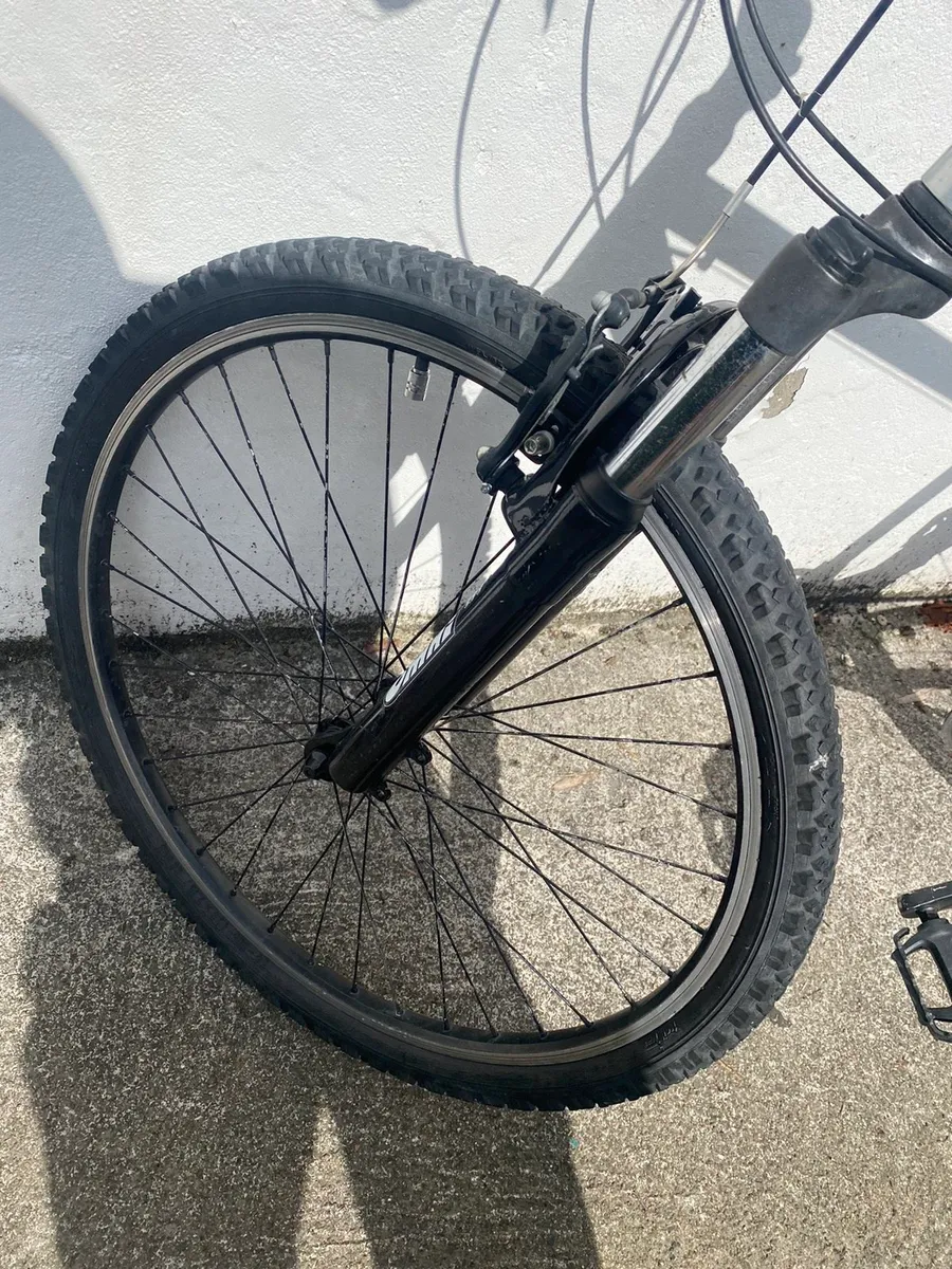 Panther X300 Line Bike - Image 2