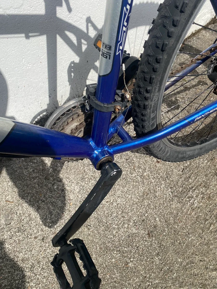 Panther X300 Line Bike - Image 4