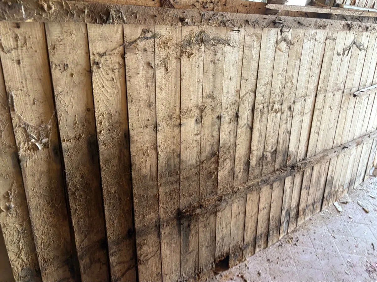Vintage Wainscotting - Image 4