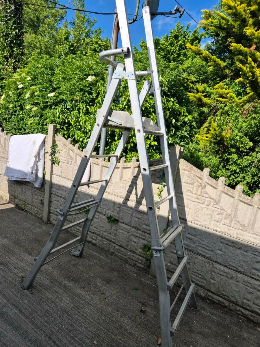 Platform ladder