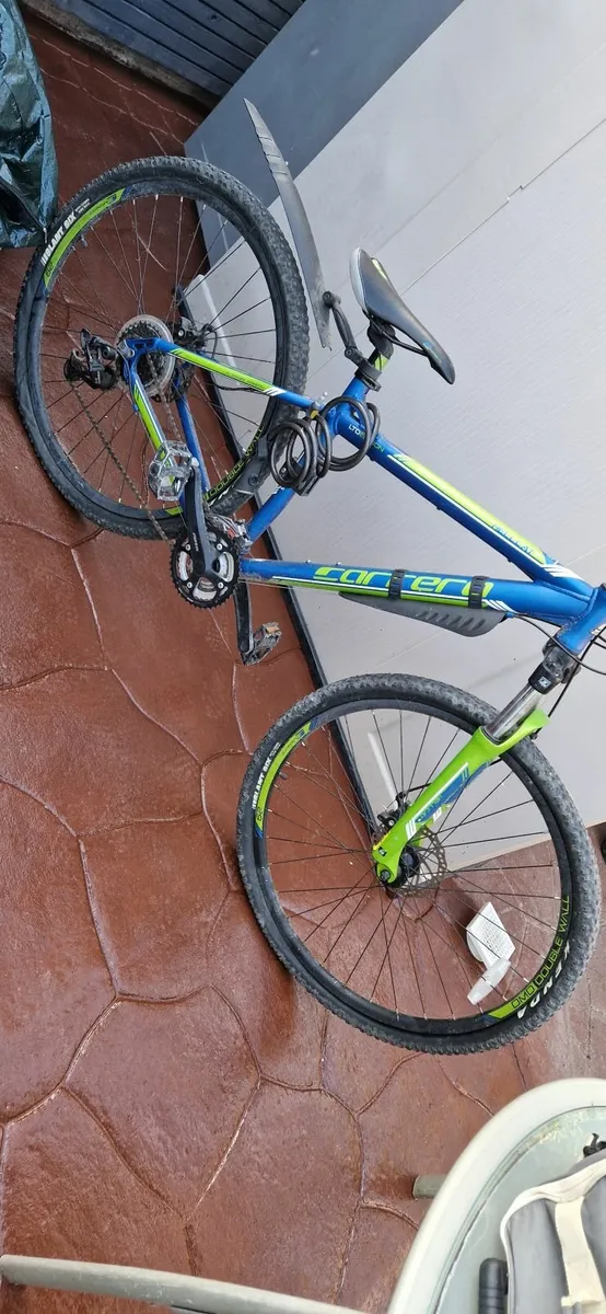 Adult bicycle - Image 1
