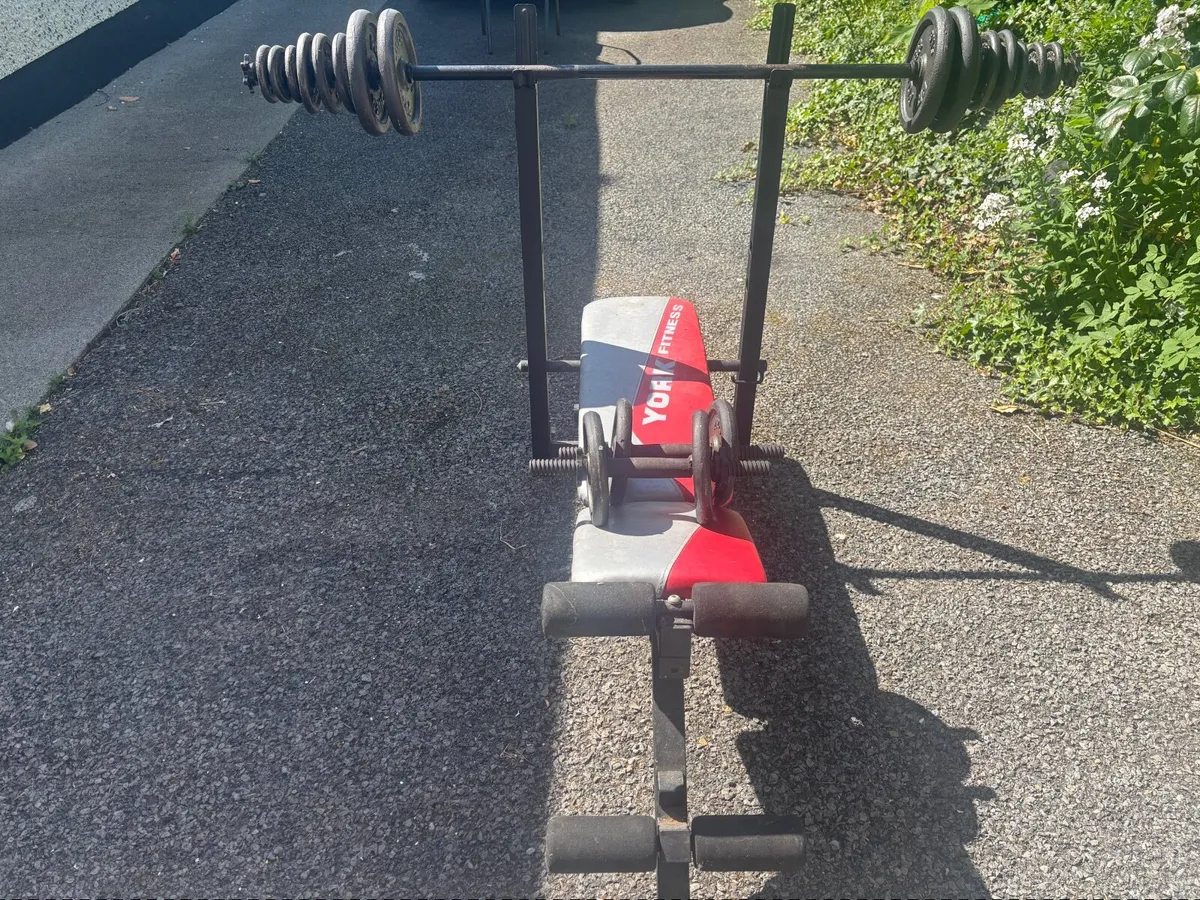 Gym bench and weights