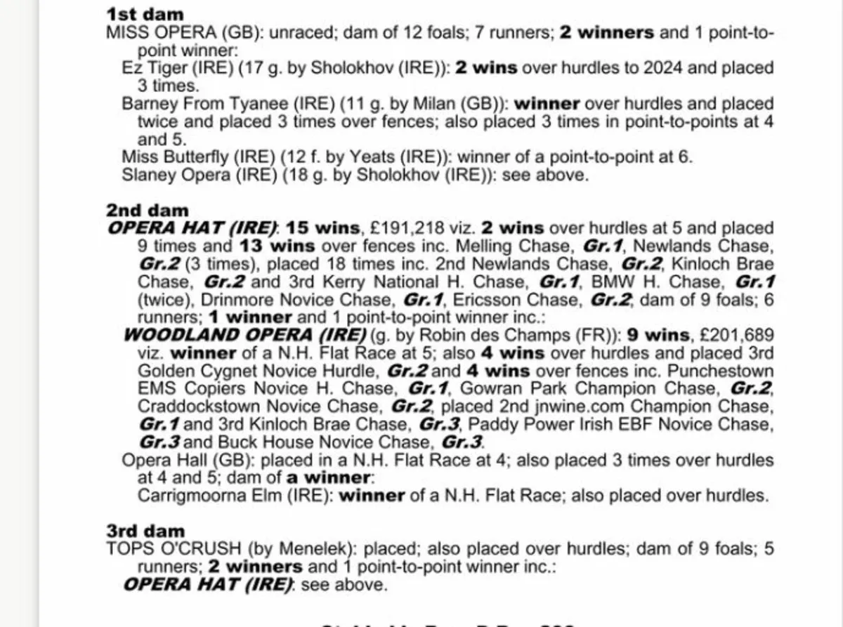 Pillar Coral Thoroughbred Filly - Image 3