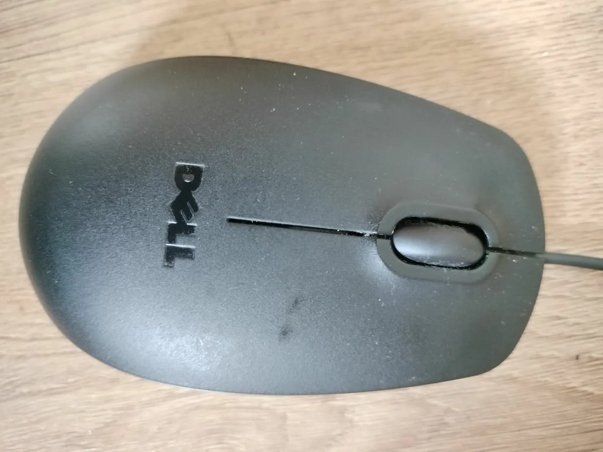 mouse