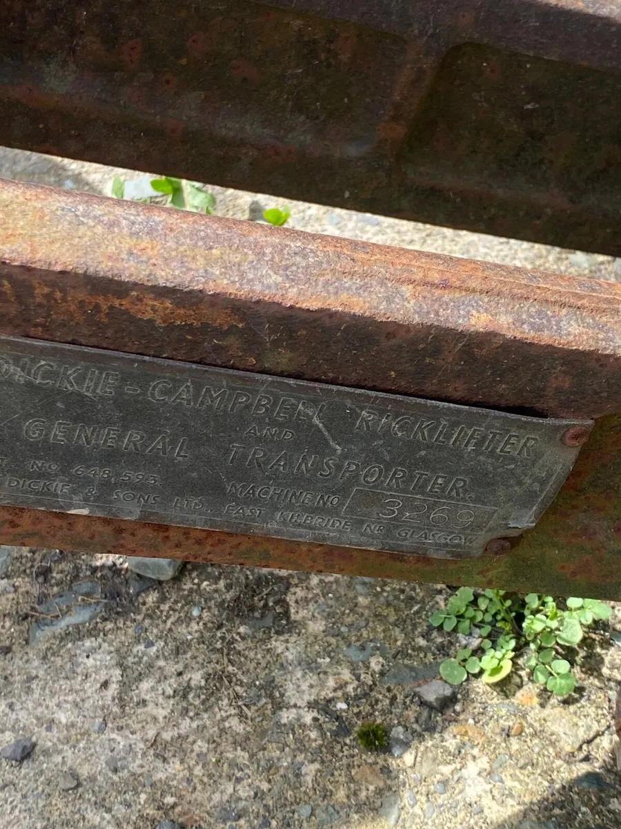 Buck Rake - Image 2