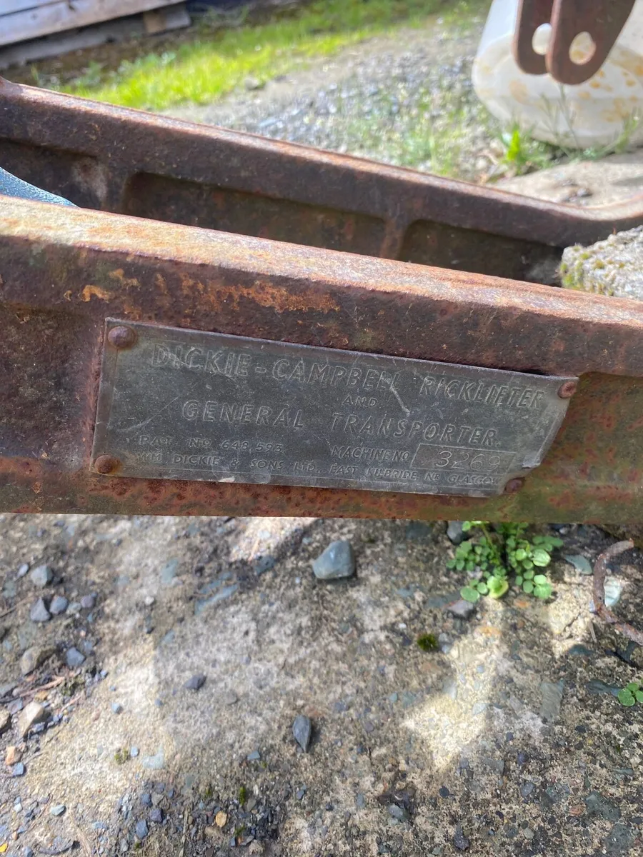 Buck Rake - Image 3
