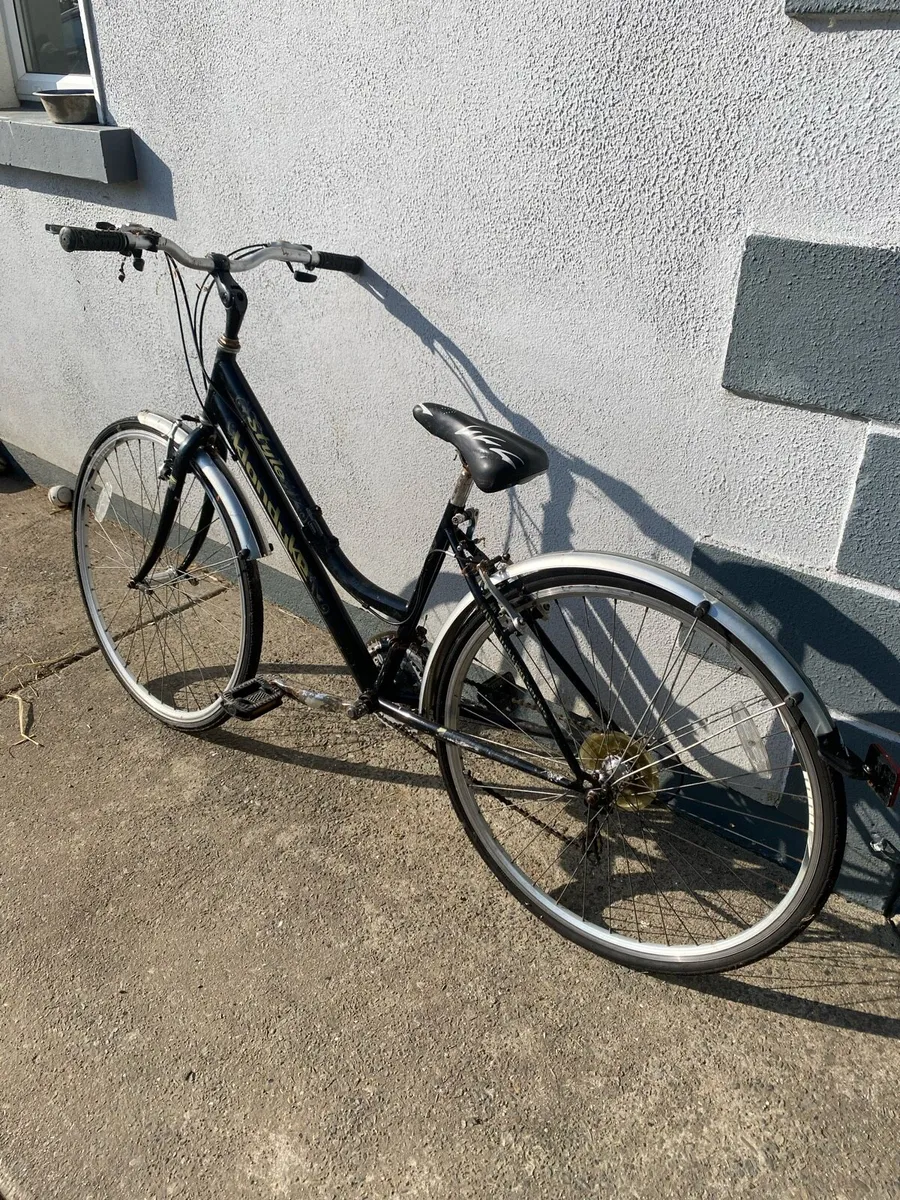 lady’s hybrid bike - Image 1