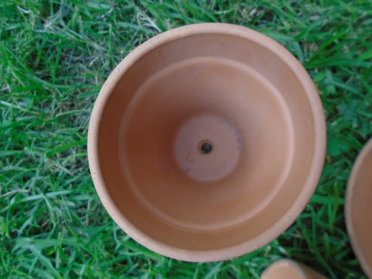 14 x small Teracotta flower pots, - Image 2