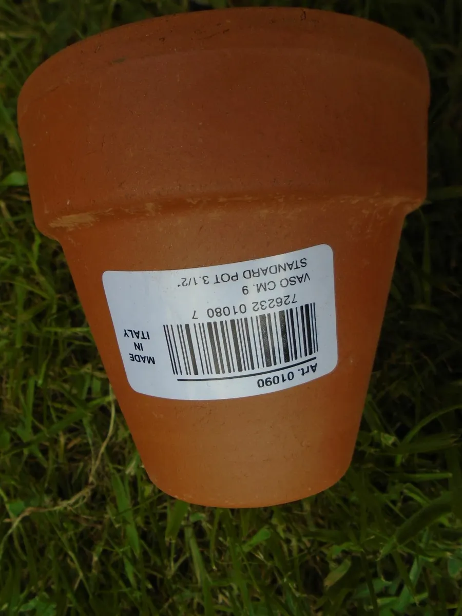14 x small Teracotta flower pots, - Image 3