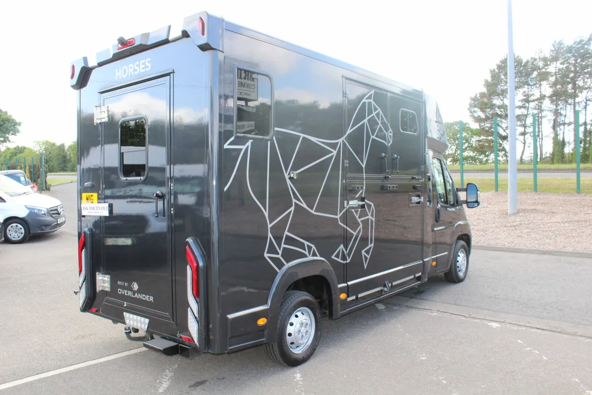 2023 Peugeot Overlander Horsebox - Image 4