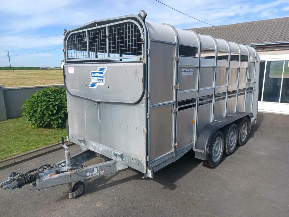 Mint Tri Axel Cattle Trailer For Sale - Image 1