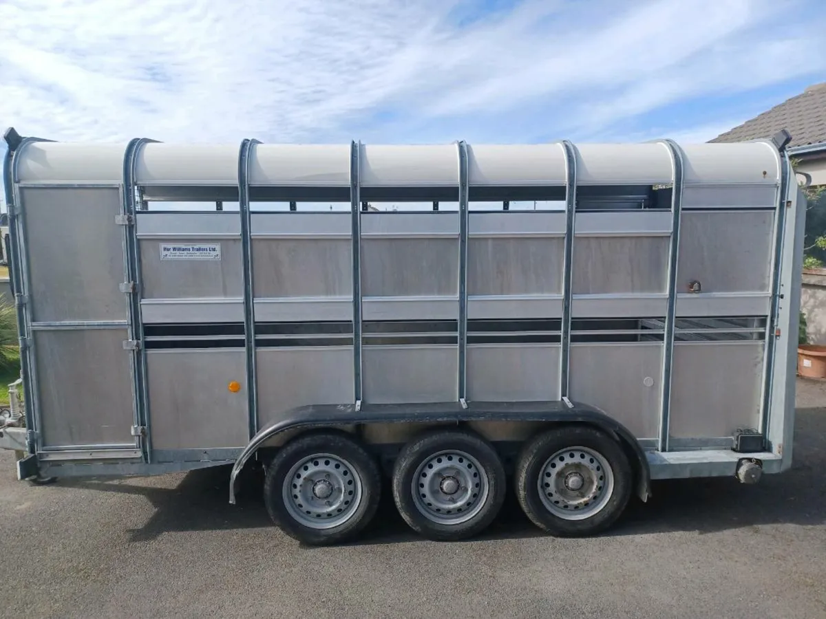 Mint Tri Axel Cattle Trailer For Sale - Image 2