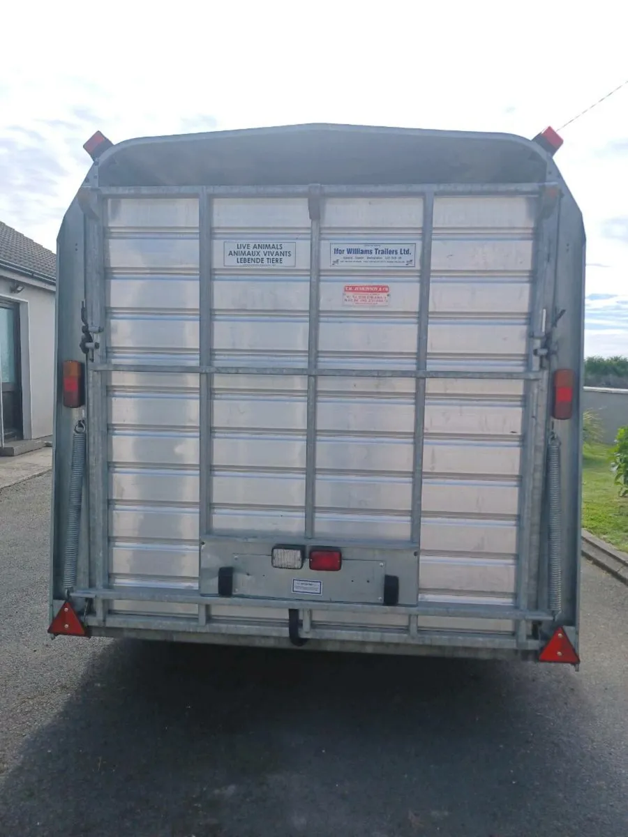 Mint Tri Axel Cattle Trailer For Sale - Image 3
