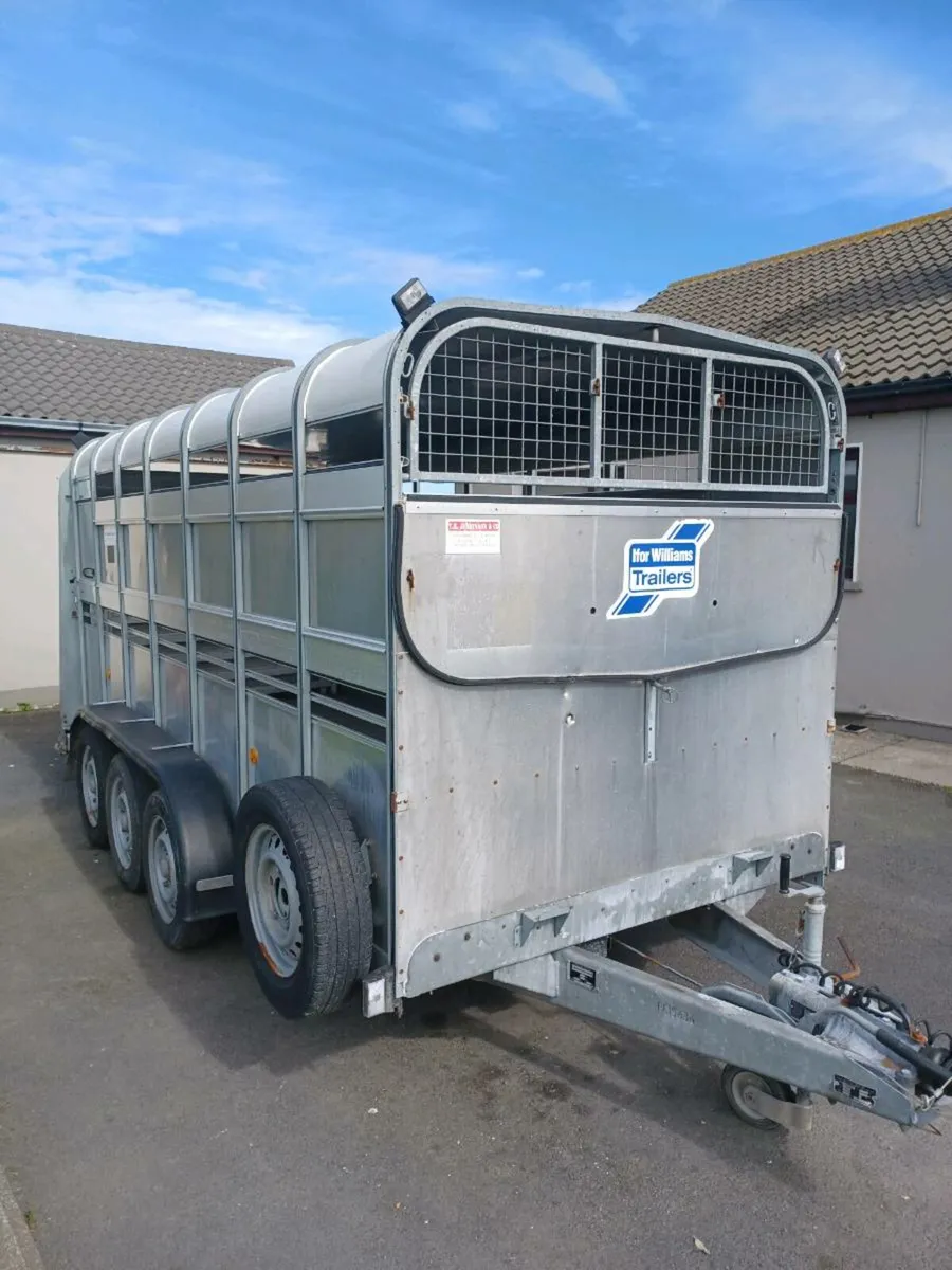 Mint Tri Axel Cattle Trailer For Sale - Image 4
