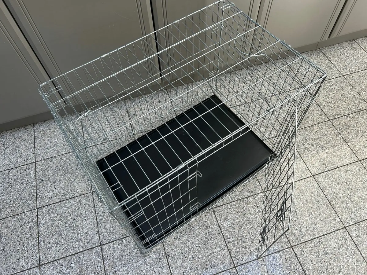 Dog Cage Dog Crate Great Condition Super Clean - Image 2
