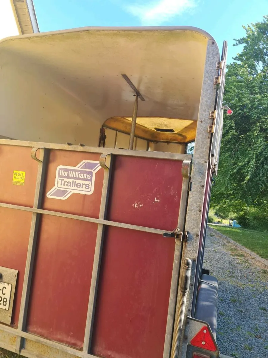 Williams horse trailer - Image 1