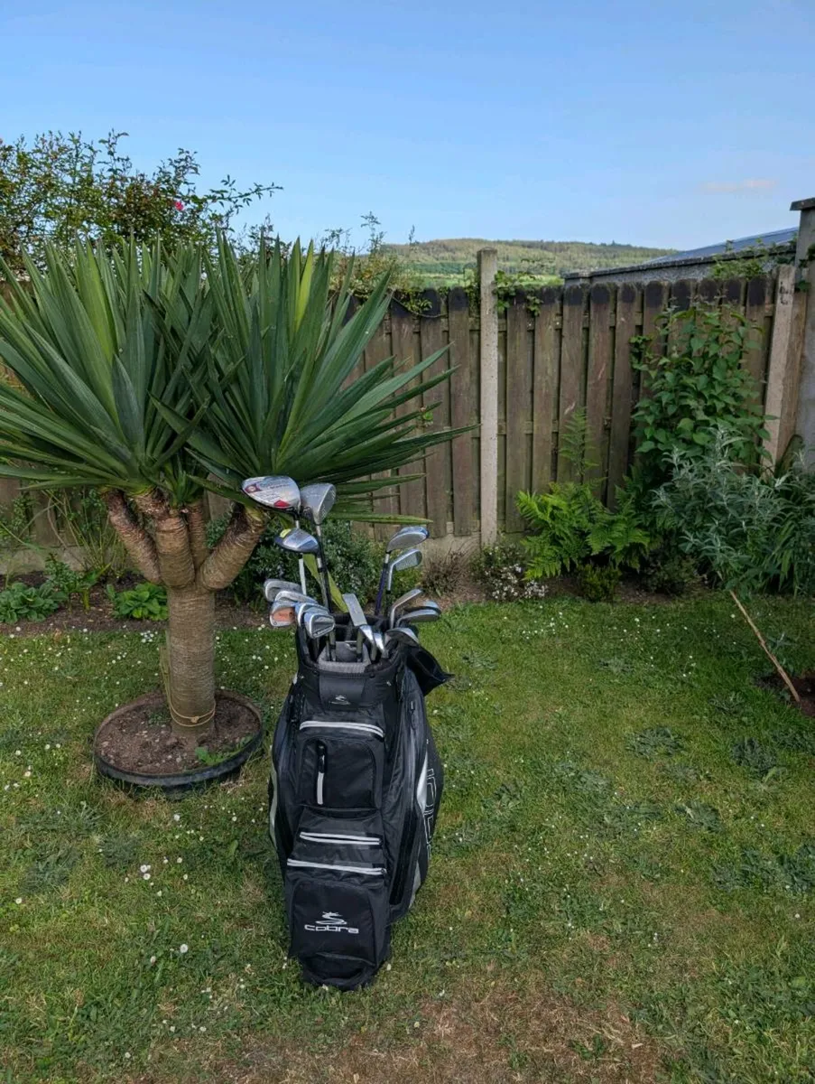 TaylorMade Golf clubs set up  & wedges - Image 3