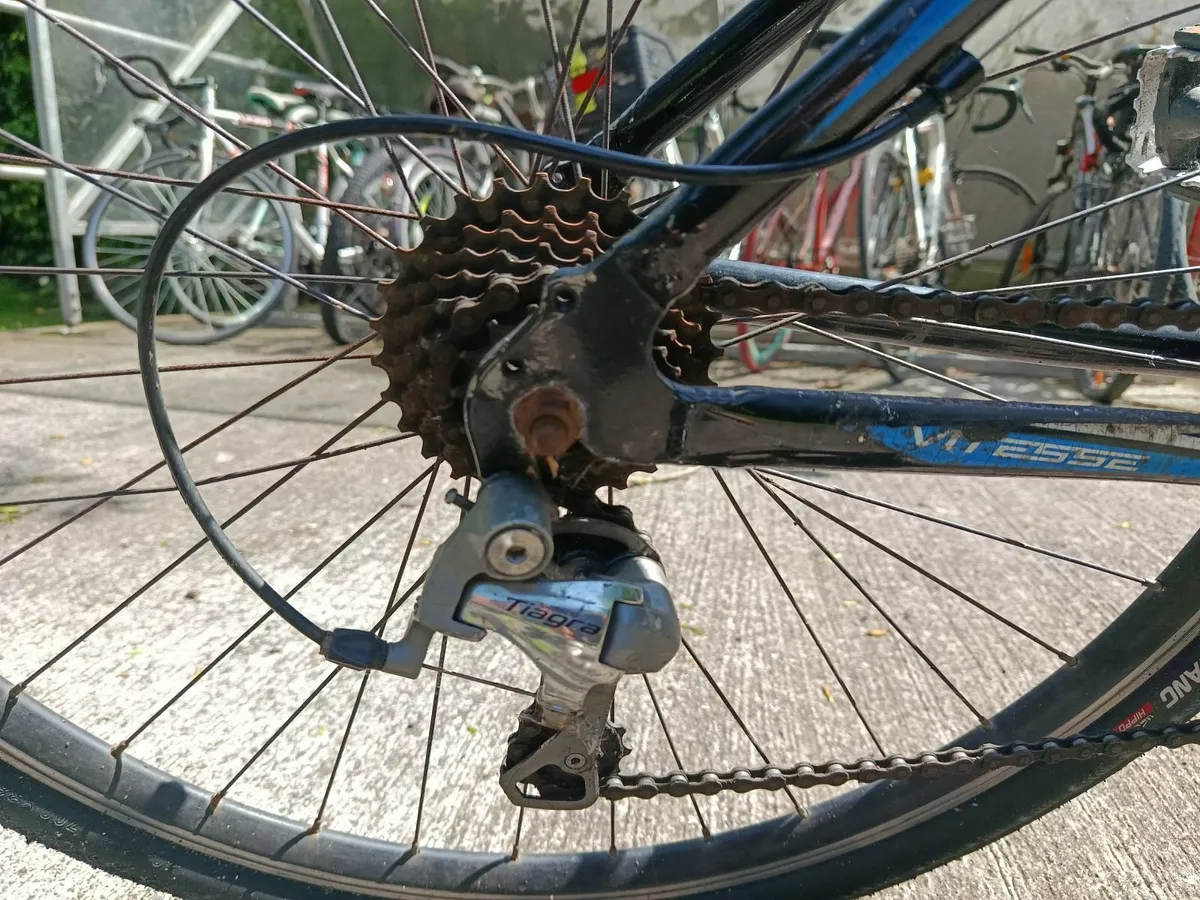 Vitesse Road Bicycle (Tiagra Gears + Disc Brakes) - Image 3