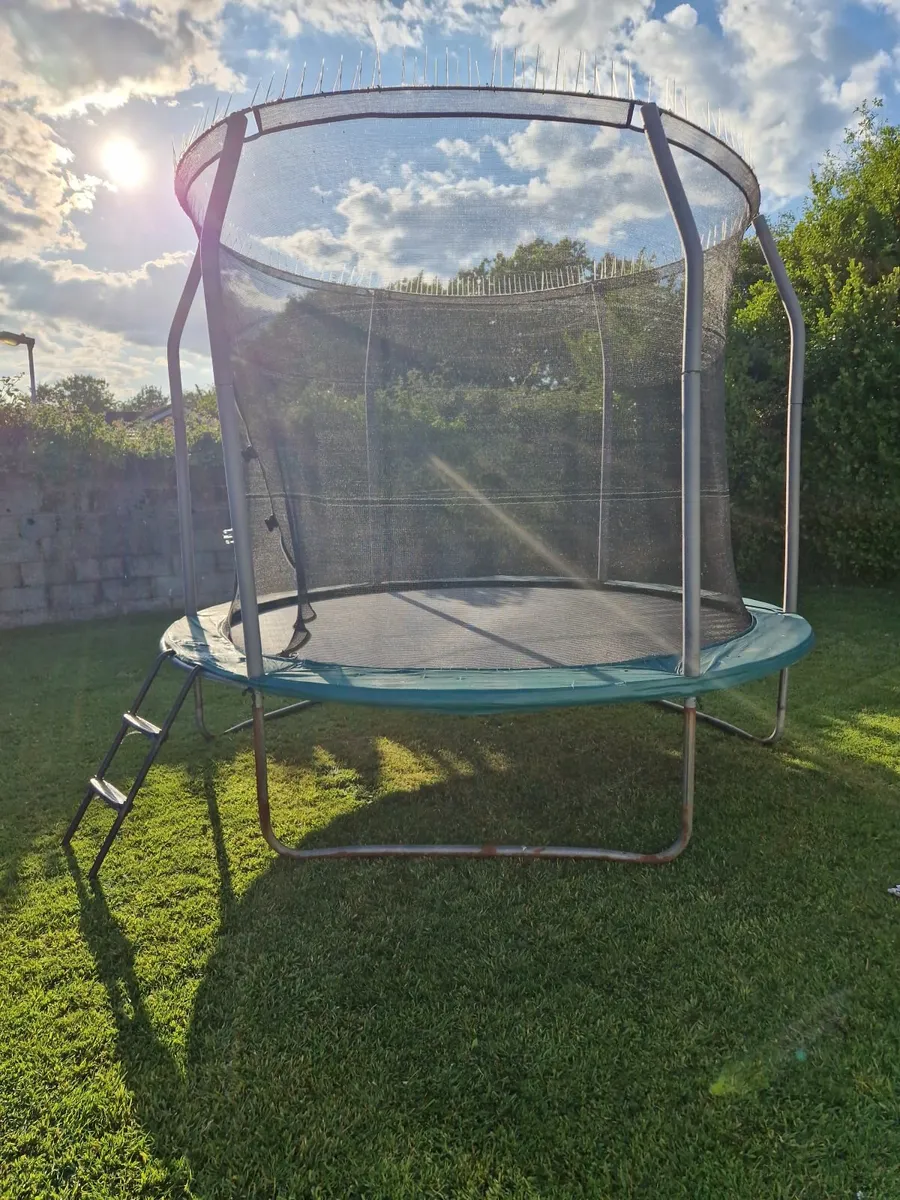 Trampoline 10ft - Image 1