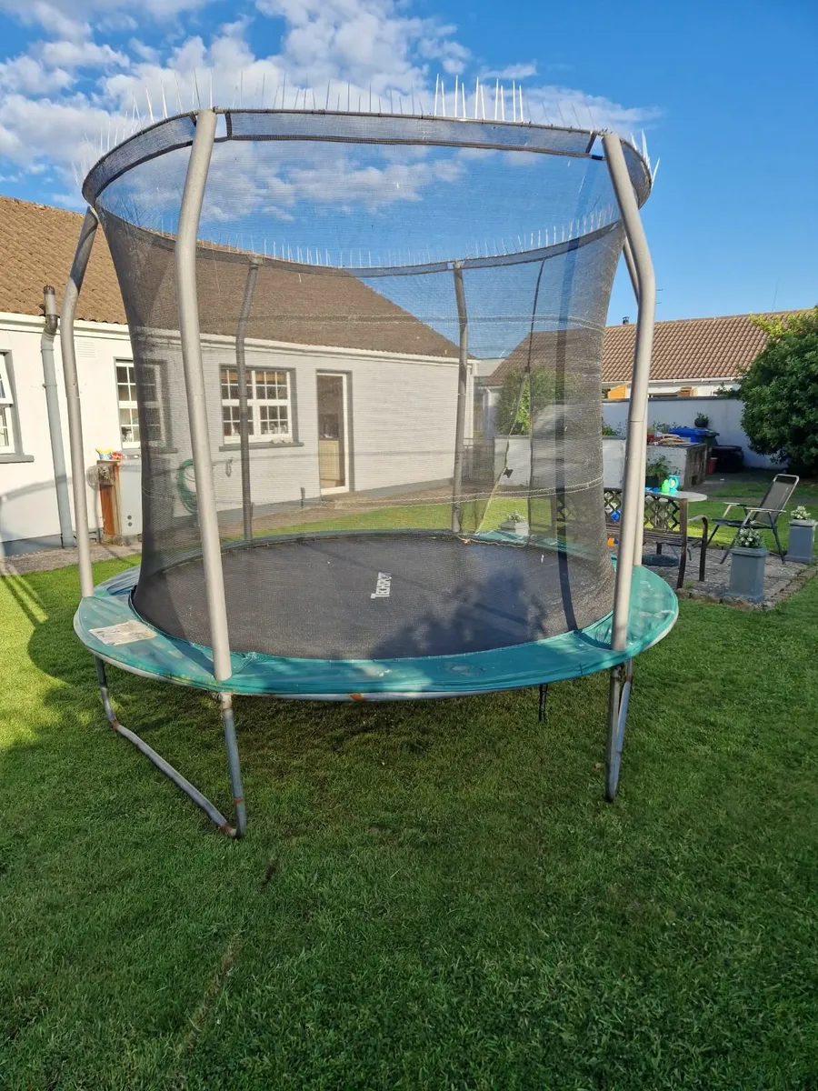 Trampoline 10ft - Image 2