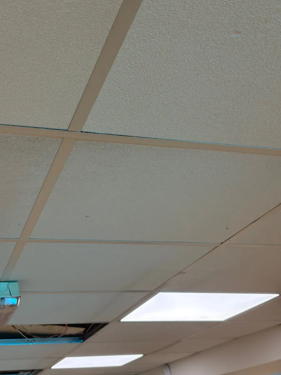 Suspended ceiling 80 square meters