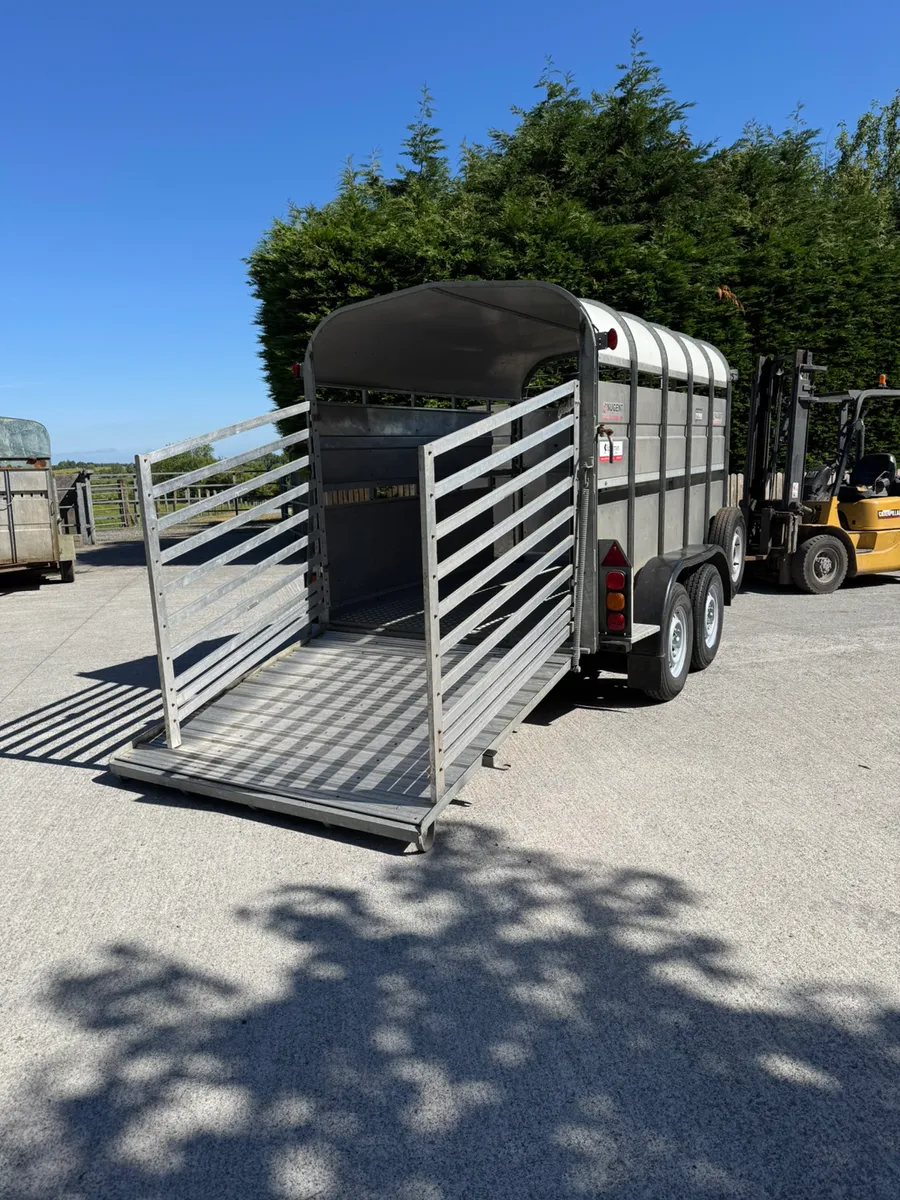 Nugent livestock trailer - Image 4