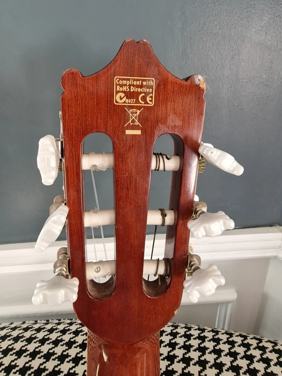 Ibanez Electro Acoustic Classical Guitar - Image 4