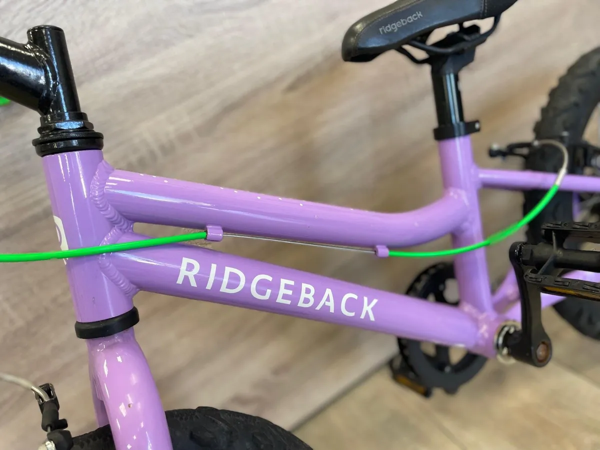 Ridgeback melody (like new) - Image 2