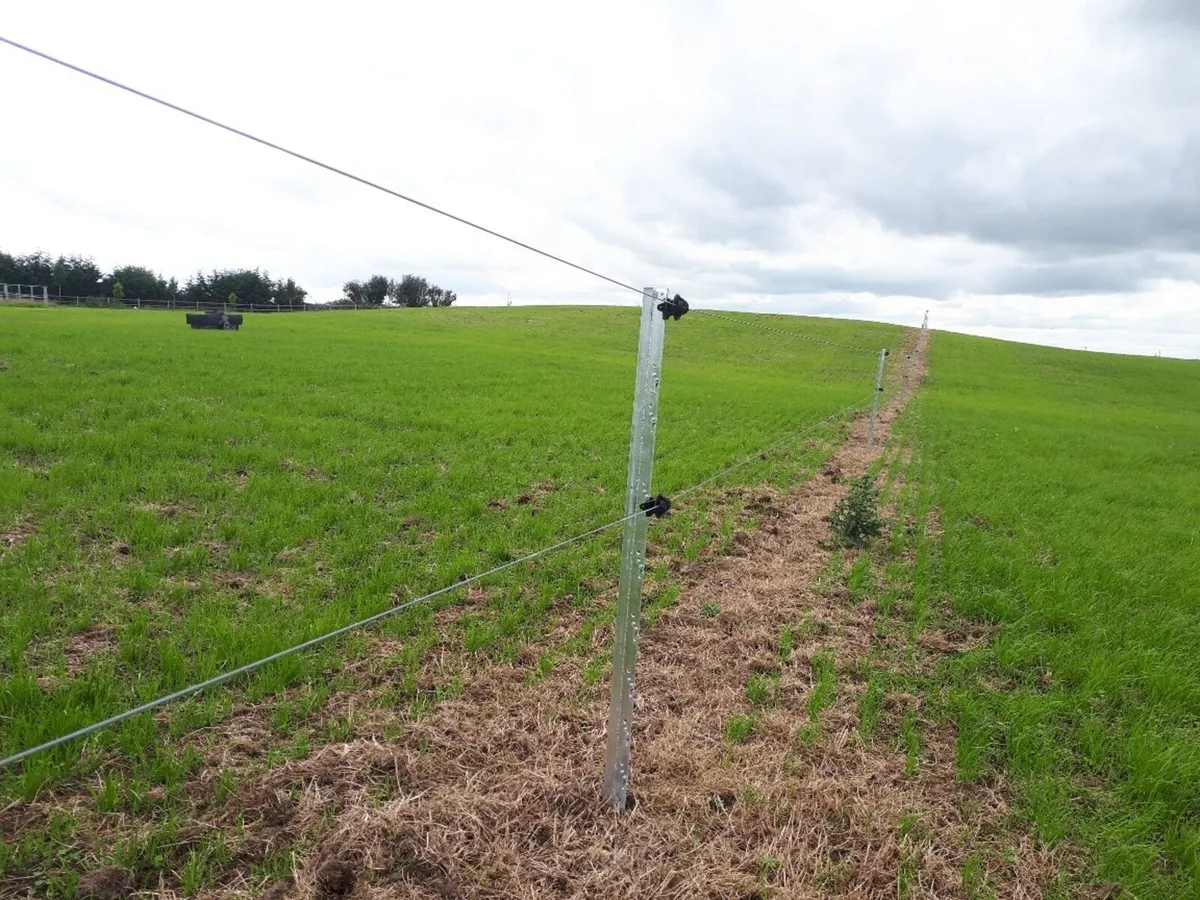 Clipex Fencing Contractor - Image 1