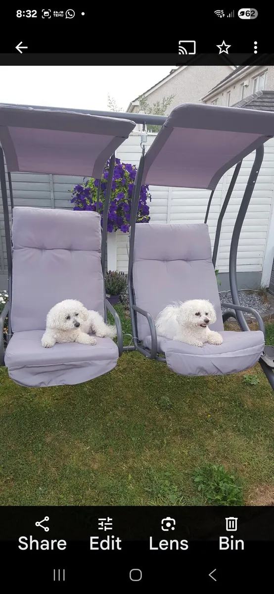 Garden Swing - Image 1