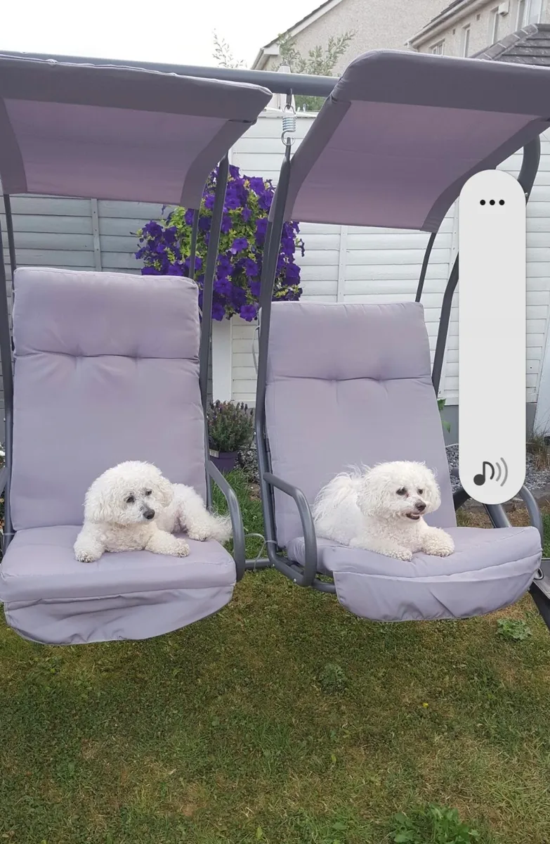 Garden Swing - Image 2