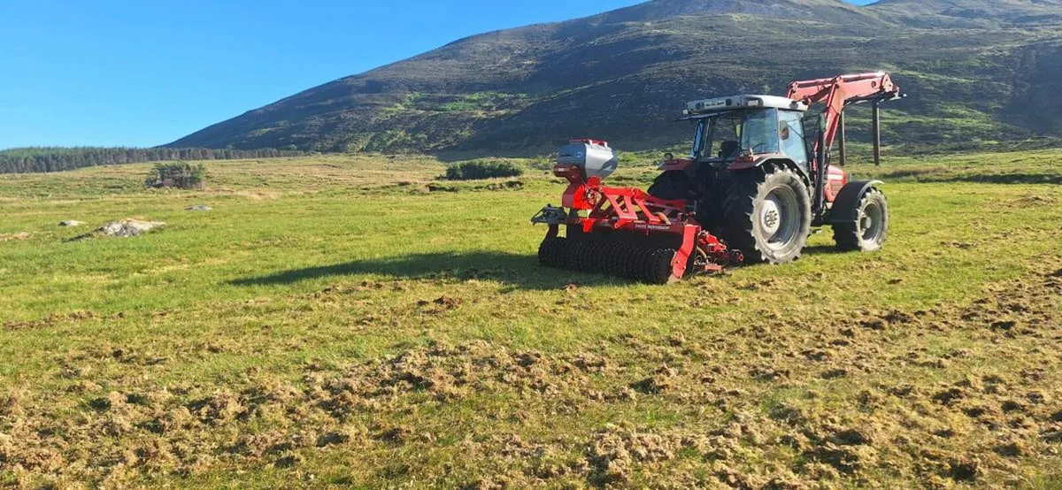 Grass rejuvenation - Image 1