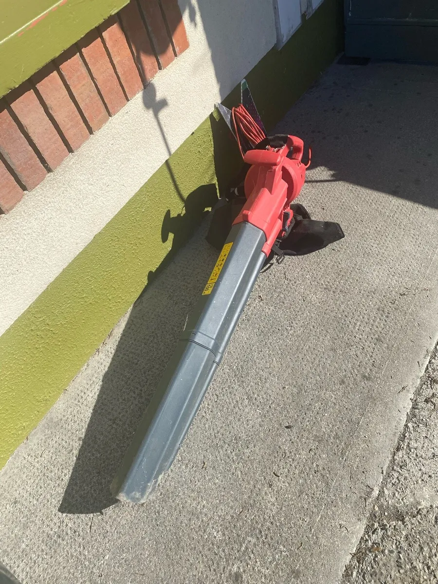Electric leaf blower