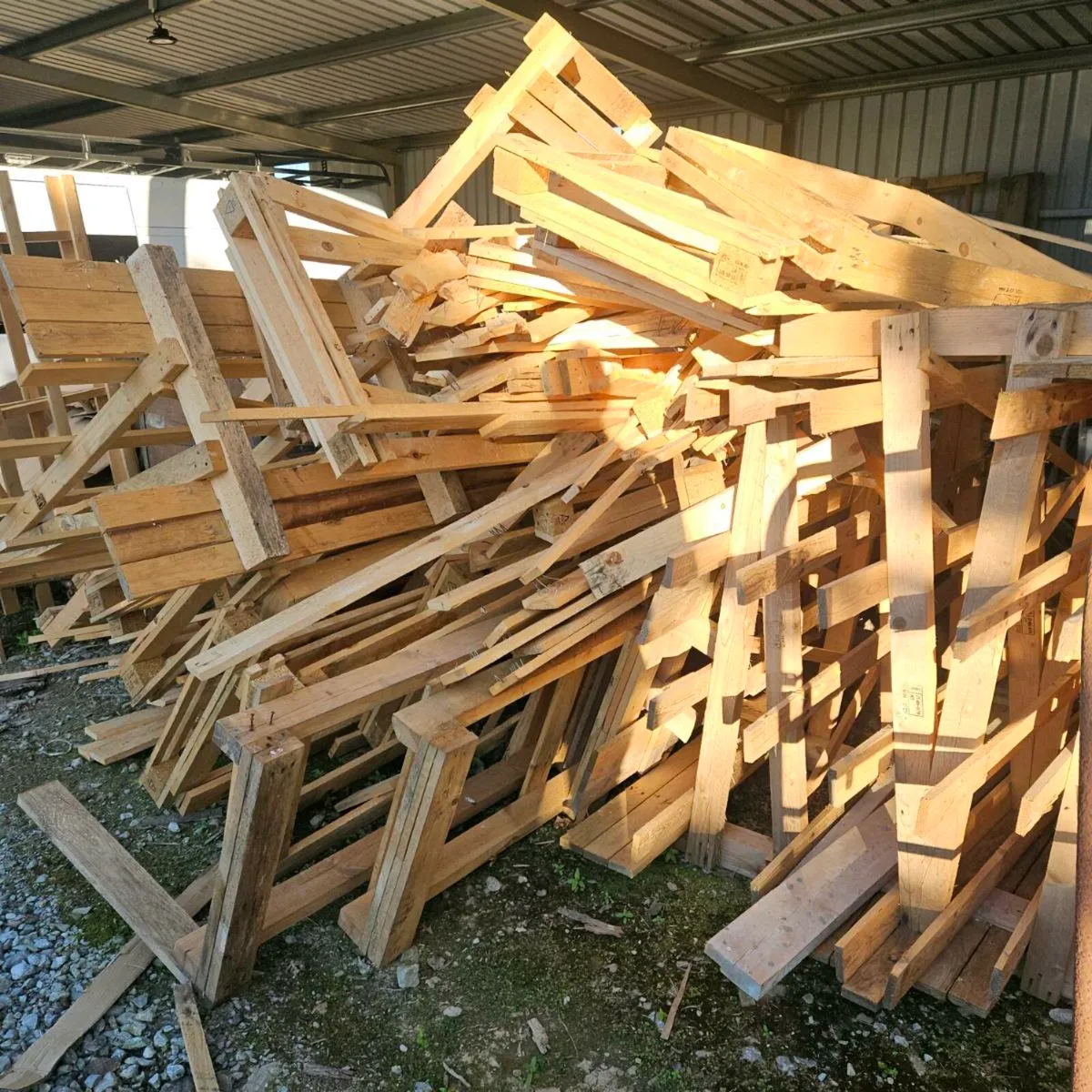Quantity of dry timber - Image 1