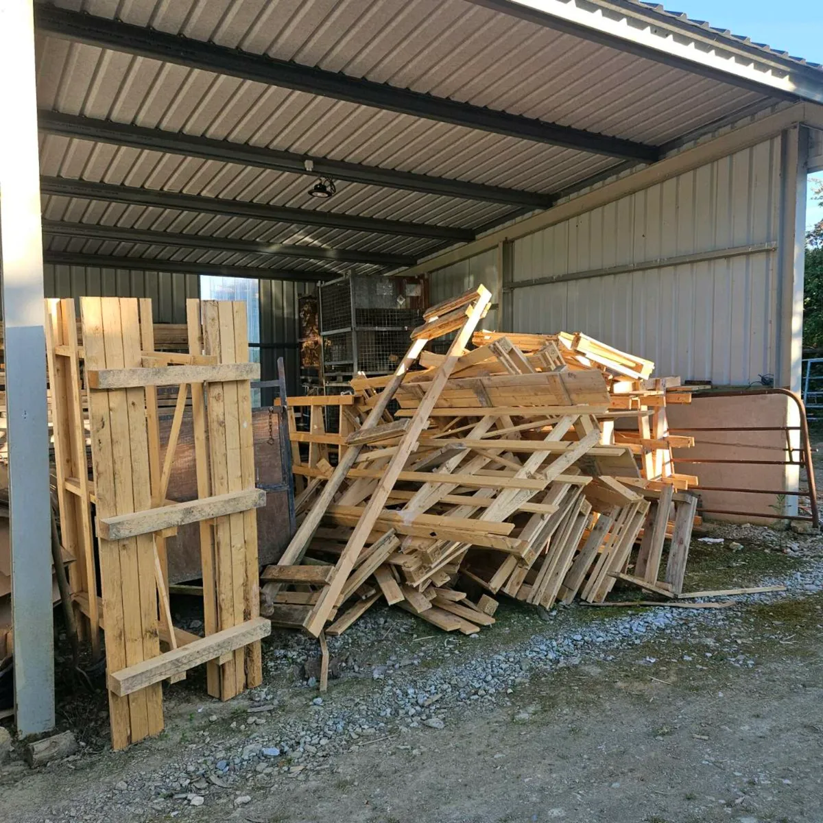 Quantity of dry timber - Image 4