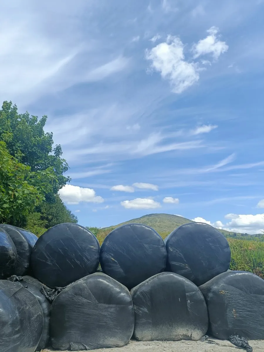 Silage Bales - Image 1