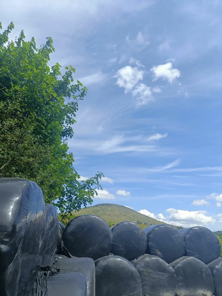 Silage Bales - Image 2