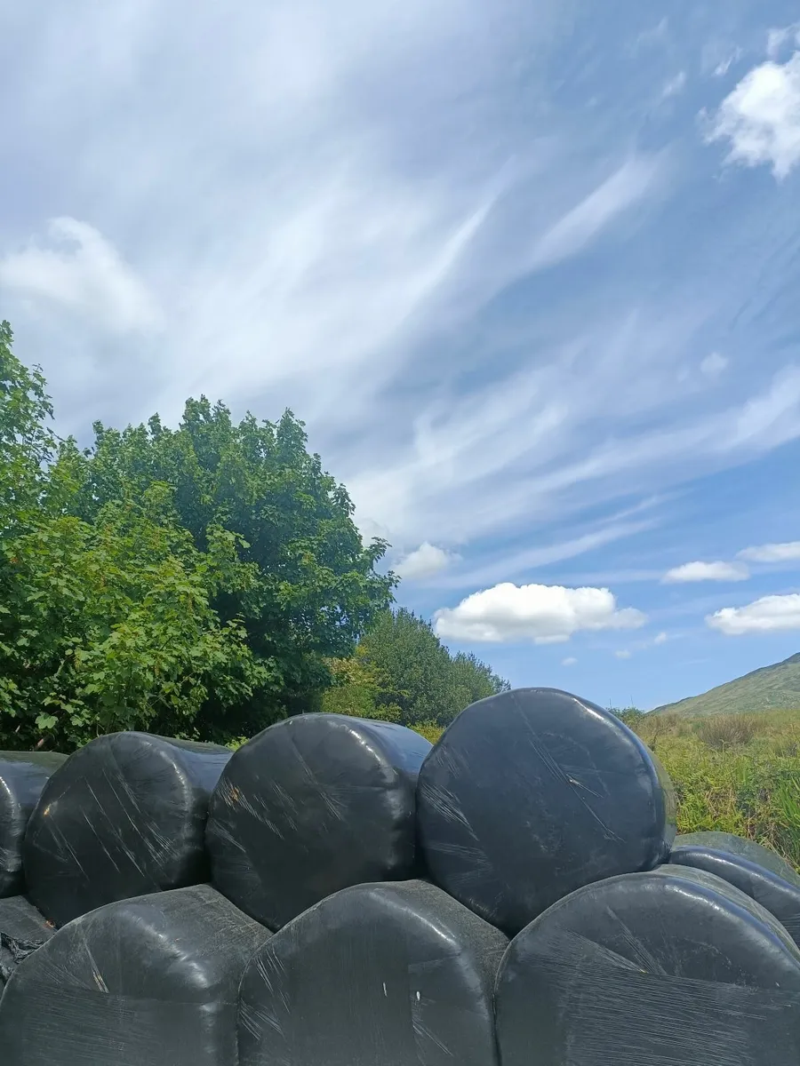 Silage Bales - Image 3
