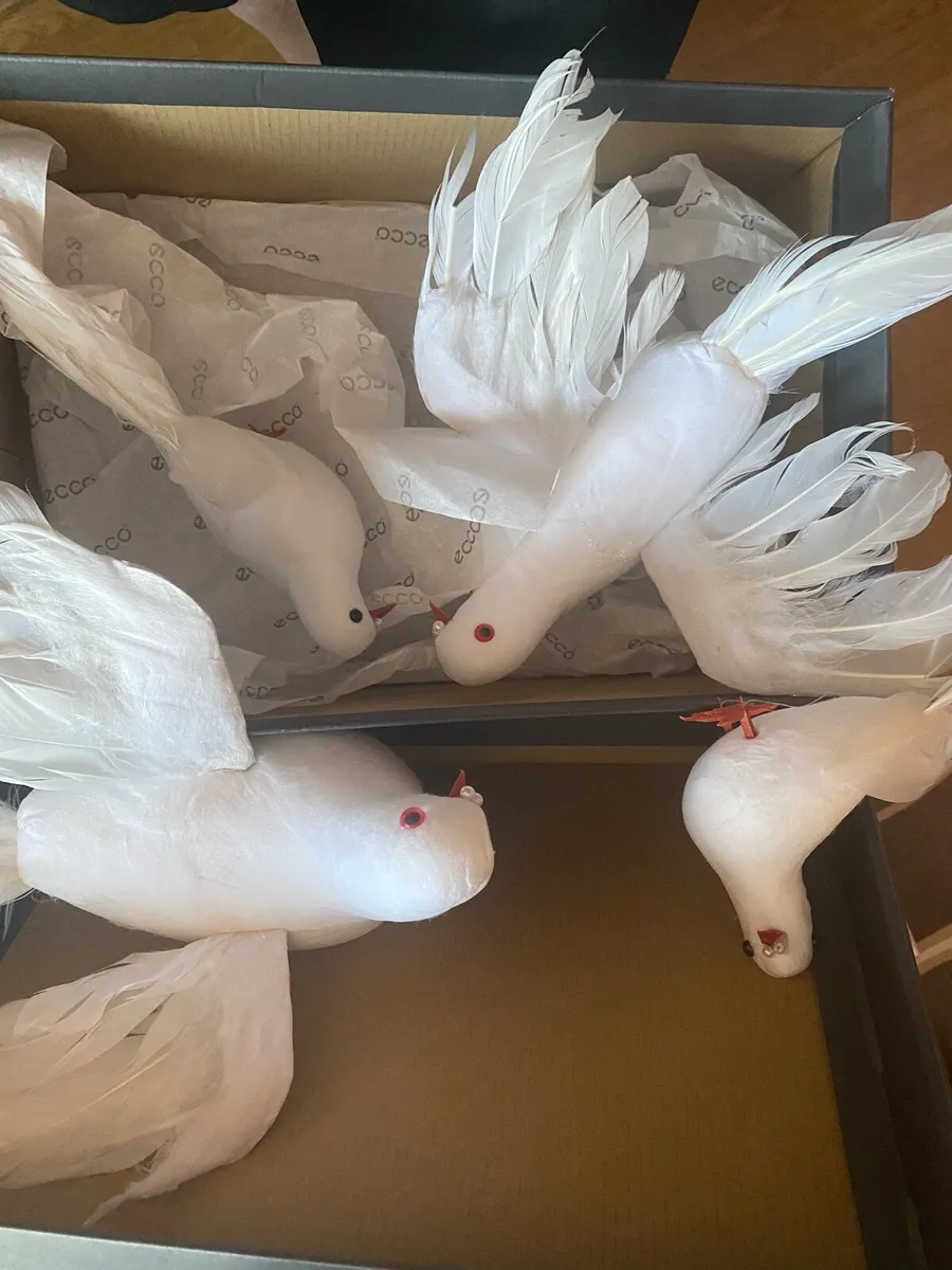 Ornamental birds - Image 1