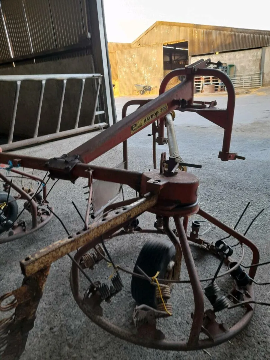 PZ haybob 300 - Image 4