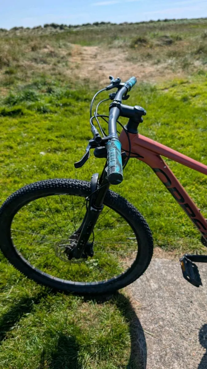 Orbea Onna Mountain Bike - Image 2