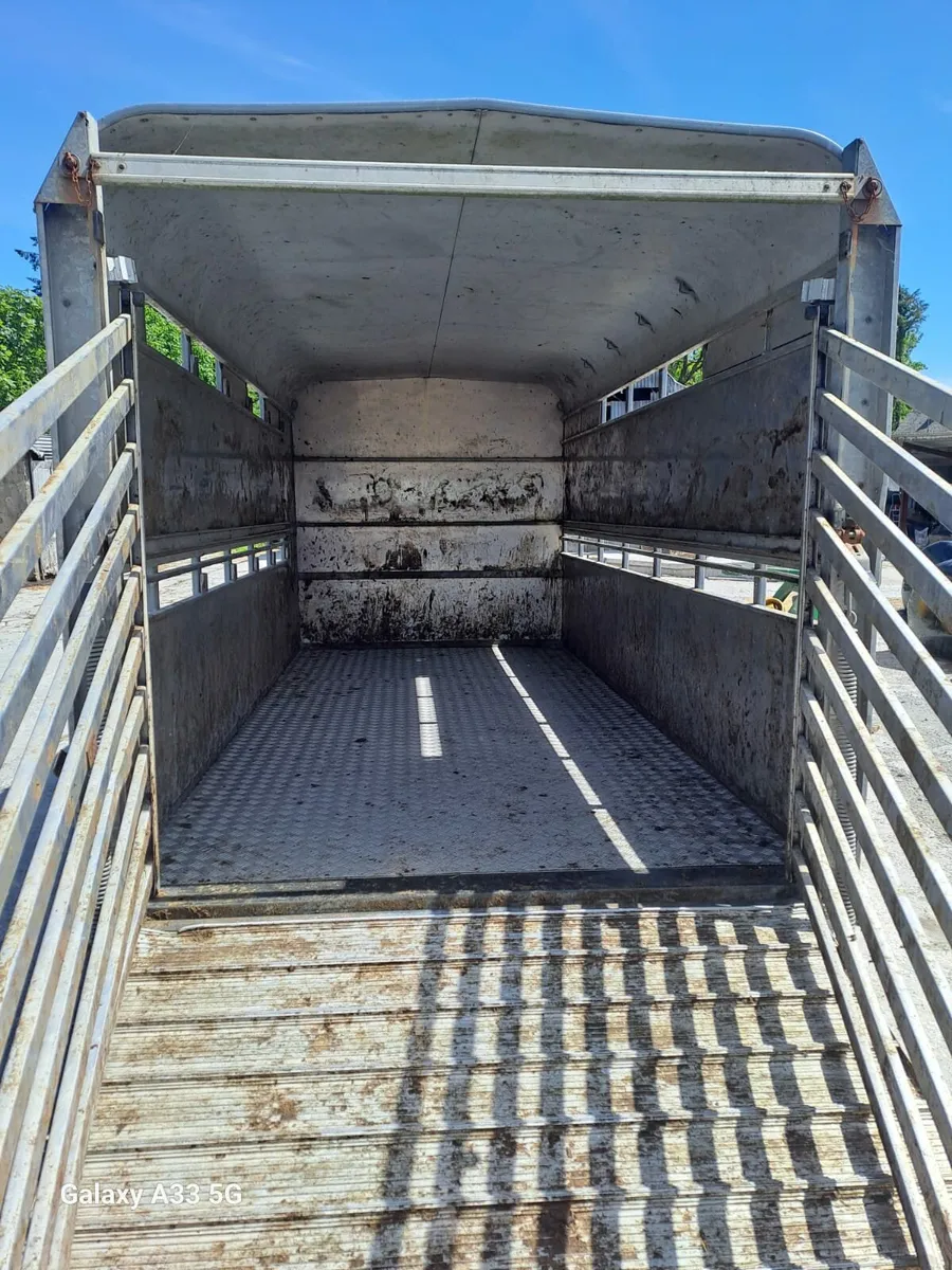14ft Ifor Williams Cattle Trailer - Image 2