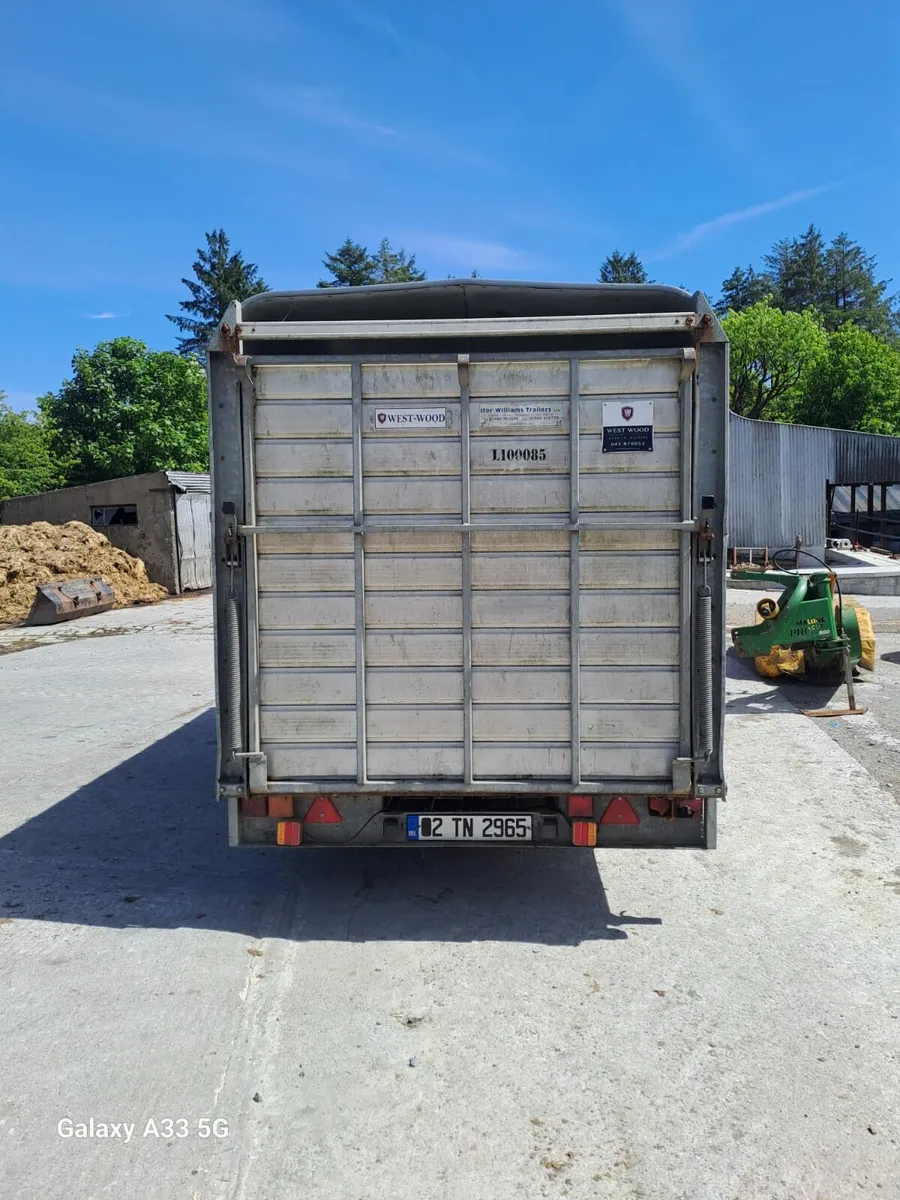 14ft Ifor Williams Cattle Trailer - Image 3