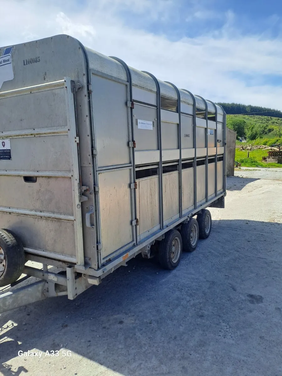 14ft Ifor Williams Cattle Trailer - Image 4