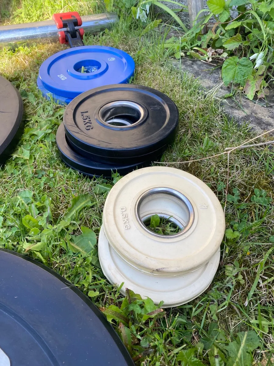 Gym Weights - Image 3