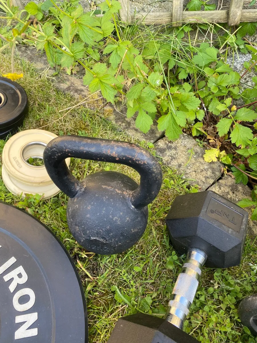 Gym Weights - Image 4