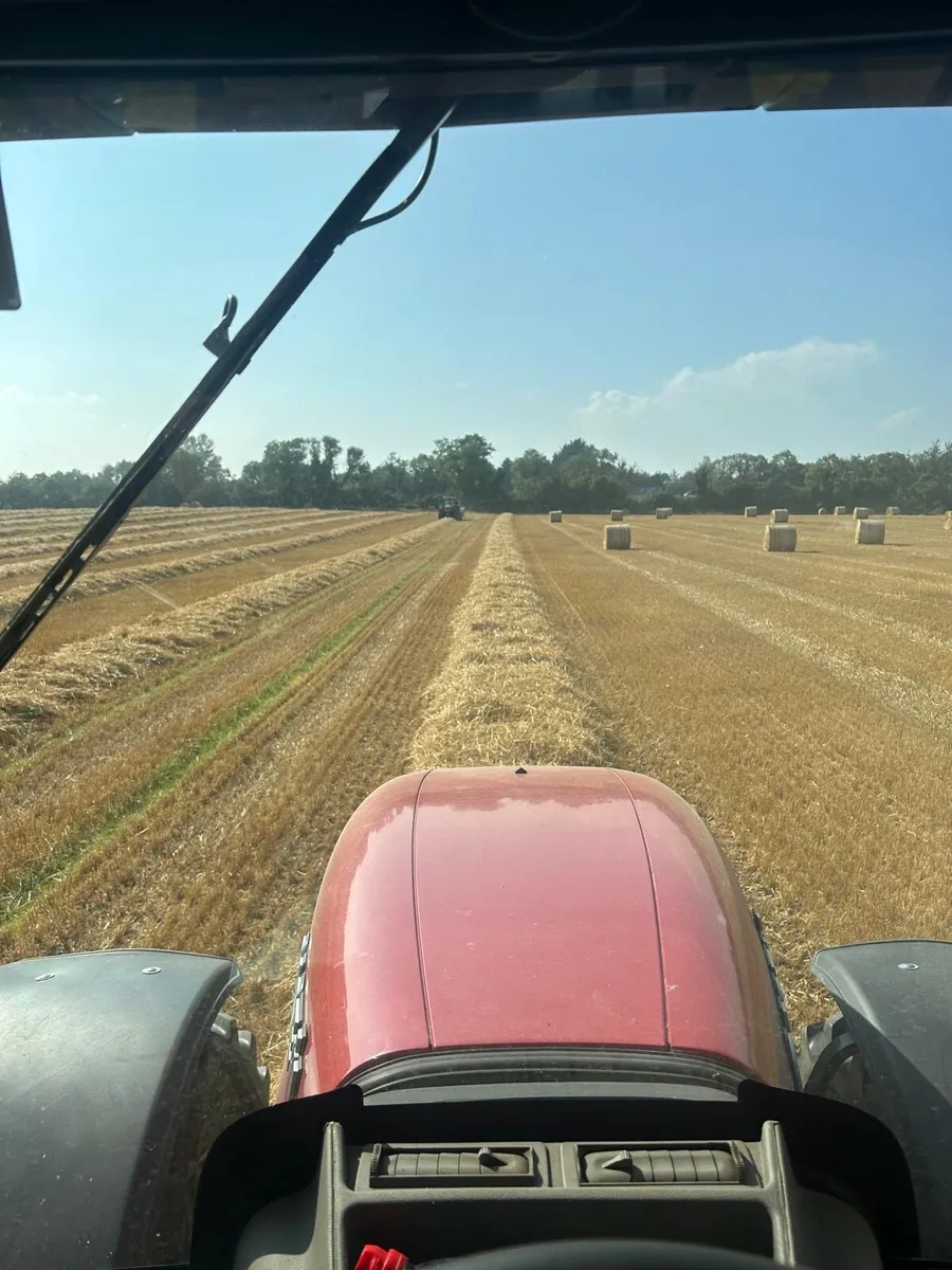 Feed Straw