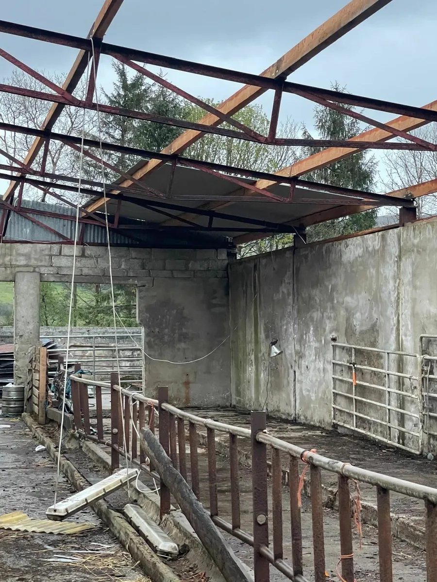 Shed repairs - Image 2